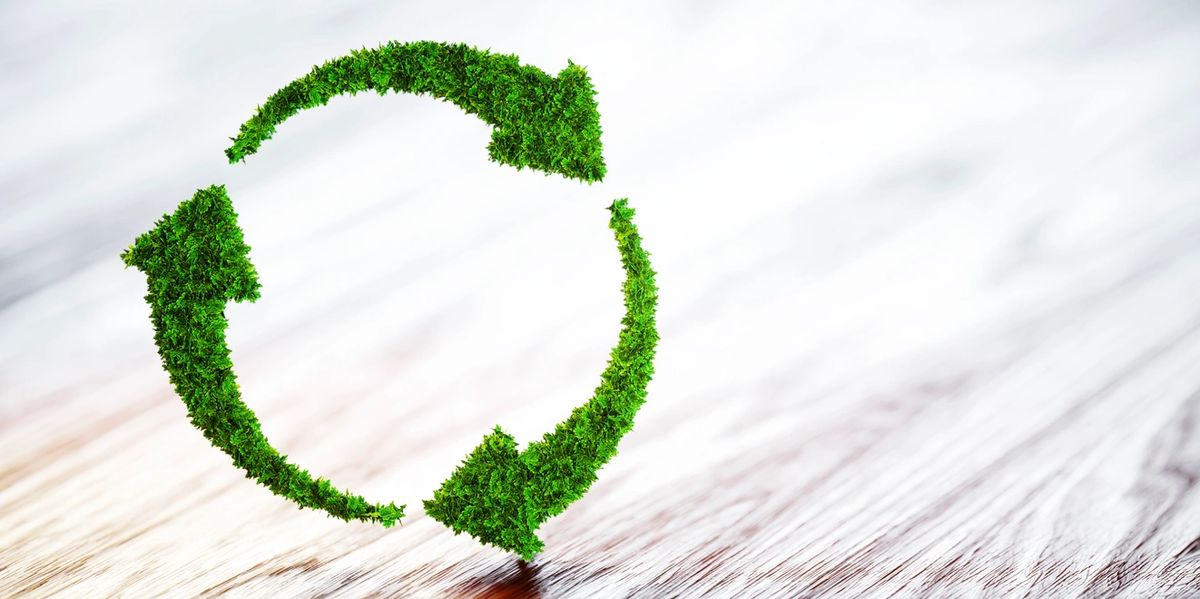 Green arrows made of grass forming a recycling symbol on wood.